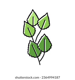 birch leaf color icon vector. birch leaf sign. isolated symbol illustration