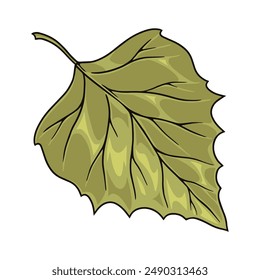 Birch leaf detailed sticker with green petal plucked from autumn tree for design of birch sap packaging vector illustration