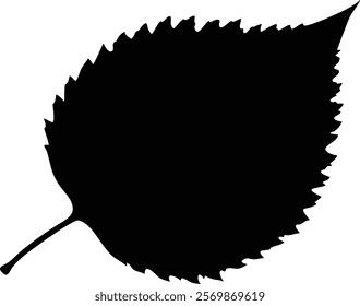 Birch leaf icon silhouette isolated on white background. Leaf sign vector illustration designg