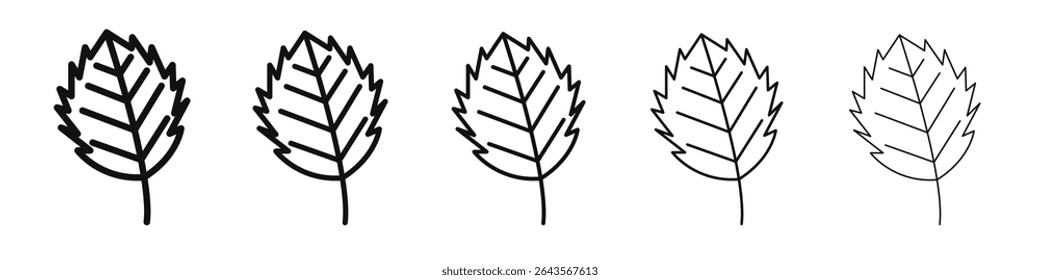 Birch leaf icon vector outline set illustration sign