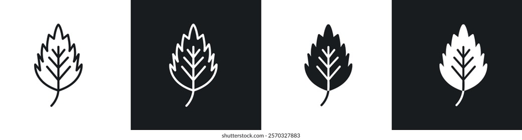 Birch leaf icons vectors set in black. line and flat versions