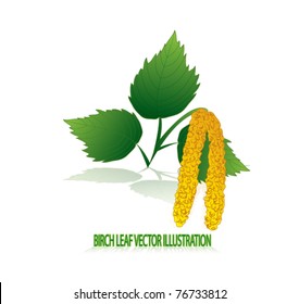 birch leaf illustration
