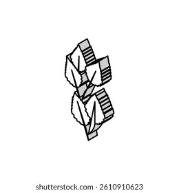 birch leaf isometric icon vector. birch leaf sign. isolated symbol illustration