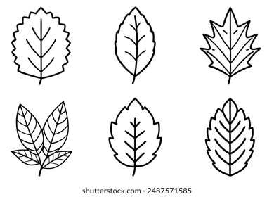 Concepto de diseño de arte de línea de Birch Leaf