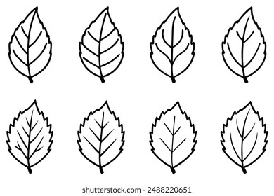 Diseño de arte de la línea de la hoja de abedul