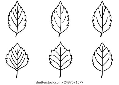 Birch Leaf line art inspiration guide