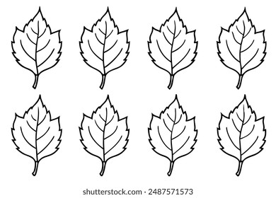 Birch Leaf line art sketch process