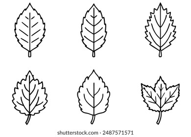 Birch Leaf line art unique depiction