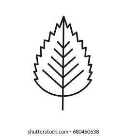 Birch leaf linear icon. Thin line illustration. Contour symbol. Vector isolated outline drawing