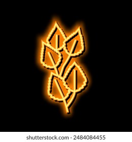 Vector de luz de neón de hoja de abedul. ilustración de hoja de abedul