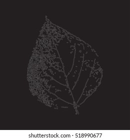 Birch leaf on a black background. Hand draw. Graphic drawing. Vector illustration.
