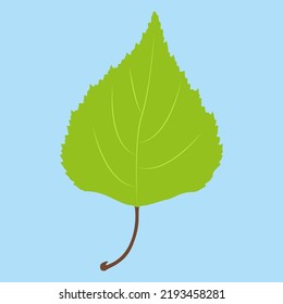 birch leaf on blue background