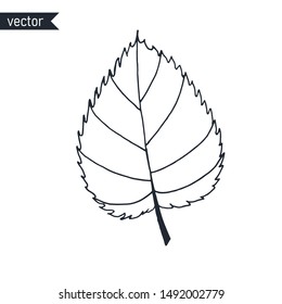 Birch leaf outline isolated on white background, vector illustration.