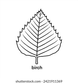Birch Leaf - Vector Design Illustration Just Outline No Fill For Coloring Pages