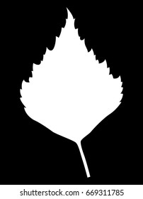 Birch leaf, vector icon. Isolated on white background.
