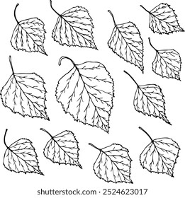 Birch leaf vector set in line art style isolated on a white background.