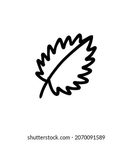 birch leave icon in vector. Logotype - Doodle