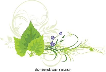 Birch leaves, flowers with grass and decorative ornament. Vector