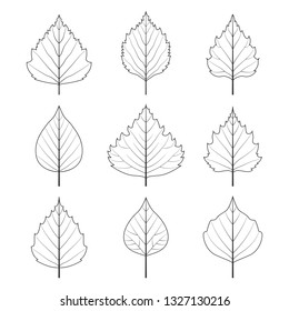 Birch Leaves Icons Outline Drawing Vector Stock Vector (Royalty Free ...