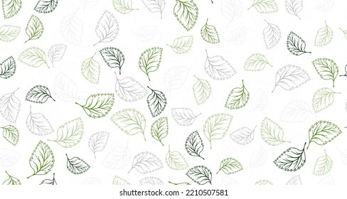 Birch leaves outline vector seamless pattern graphic design. Floral hand drawn background. Birch or basil foliage textile print. Autumn organic doodle leaves wrapping paper pattern. Houseplant leaf