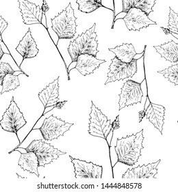 Birch leaves pattern. Hand drawn black birch tree branches, birch leaves. Sketch style vector seamless background.