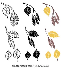 Birch leaves and twigs outline, in silhouette and colorful isolated on white background. Autumn design elements. Vector illustration.