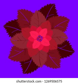 birch leaves, vector illustration