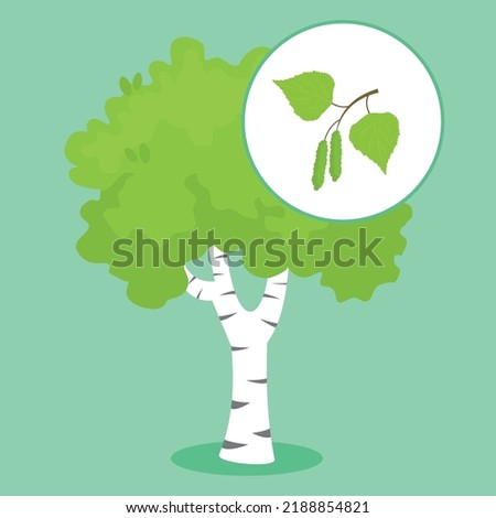 birch on a green background
