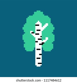 Birch Pixel art. National Russian tree. Vector illustration
