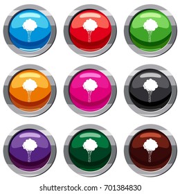 Birch set icon isolated on white. 9 icon collection vector illustration