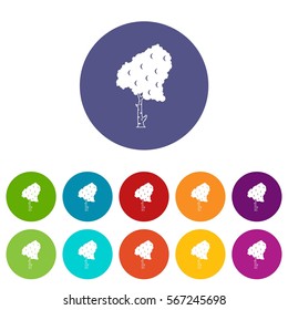 Birch set icons in different colors isolated on white background