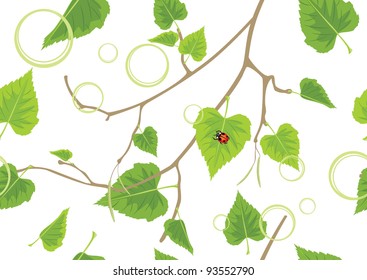 Birch sprig. Decorative spring background. Vector