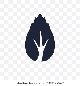 Birch transparent icon. Birch symbol design from Nature collection. Simple element vector illustration on transparent background.