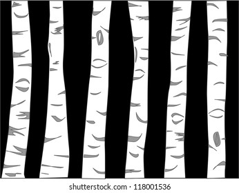 birch tree