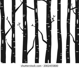Birch Tree or Aspen Silhouette Vector Background.