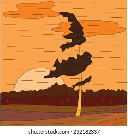  birch tree. autumn. wind
