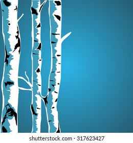 Birch tree background