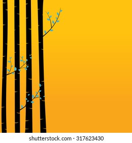 Birch tree background