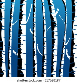 Birch tree background