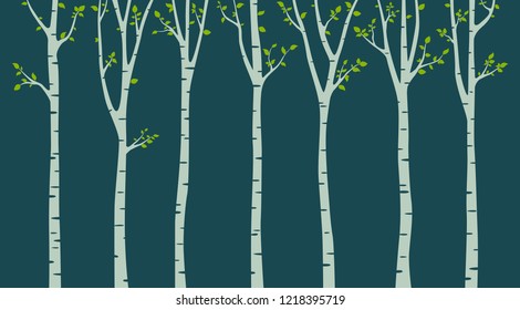 Birch tree with birds silhouette background