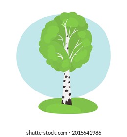 Birch tree in cartoon style isolated on white background. Picture with the wood tree with blue sky. Vector illustration of garden element.