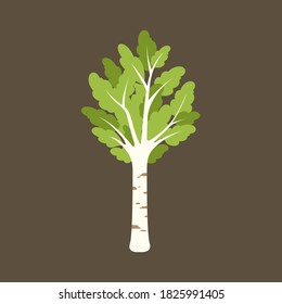 Birch tree cartoon vector illustration