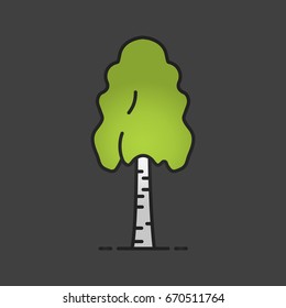 Birch tree color icon. Forestry. Forest tree. Isolated vector illustration