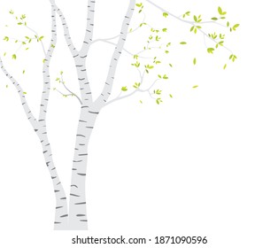 Birch Tree with deer and birds Silhouette Background for wallpaper sticker