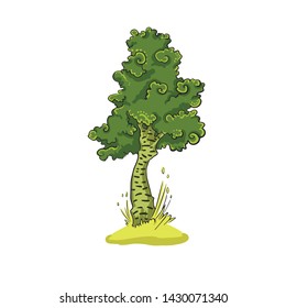 Birch tree.  Dreamlike tree illustration. Vector Isolated Graphic Design Elements.