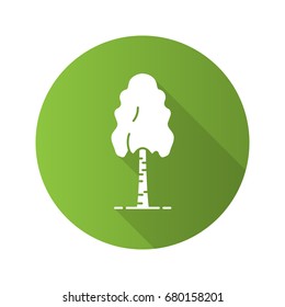 Birch tree flat design long shadow glyph icon. Vector silhouette illustration