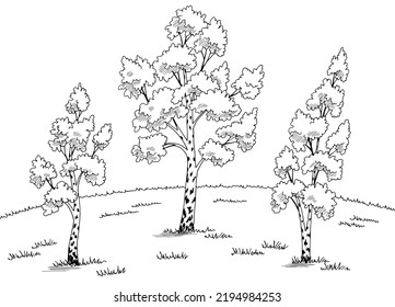 Birch tree grove graphic black white landscape sketch illustration vector 