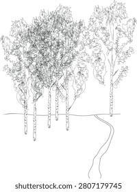 Birch tree grove sketch with path in minimal landscape