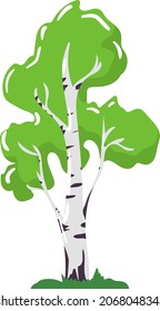 Birch tree icon concept, central european and siberian nature wood, organic natural timber cartoon vector illustration, isolated on white.