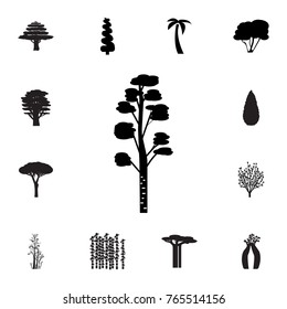Birch tree icon. Set of silhouette of tree icons. Web Icons Premium quality graphic design. Signs, outline symbols collection, simple icons for websites, web design, mobile app on white background